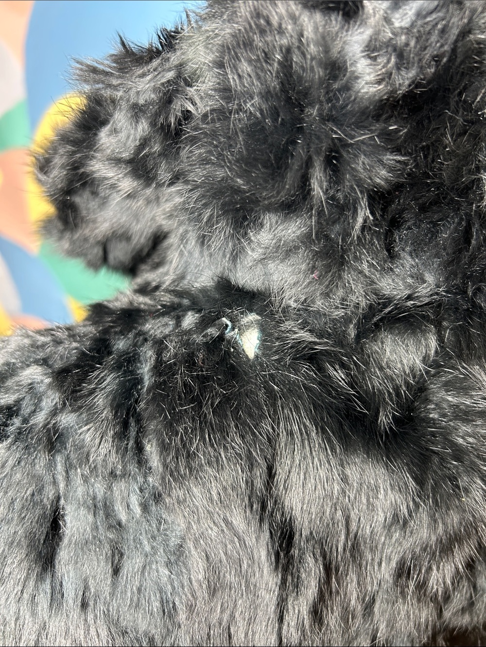 Vintage Women's Black Rabbit Fur Teddy Jacket - Plush Warmth sz XL - Picture 11 of 14